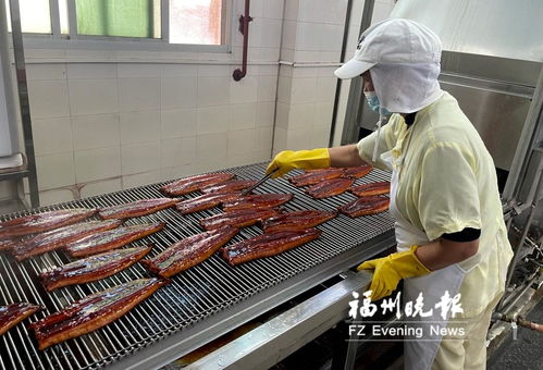 長樂全力打造“海上糧倉” 研發水產品預制菜，提升福州海蚌產業影響力