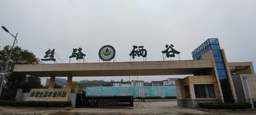 絲路硒谷香飄遠(yuǎn) 專(zhuān)家賦能譜新篇——安康市院士專(zhuān)家工作站現(xiàn)場(chǎng)會(huì)石泉行紀(jì)實(shí)